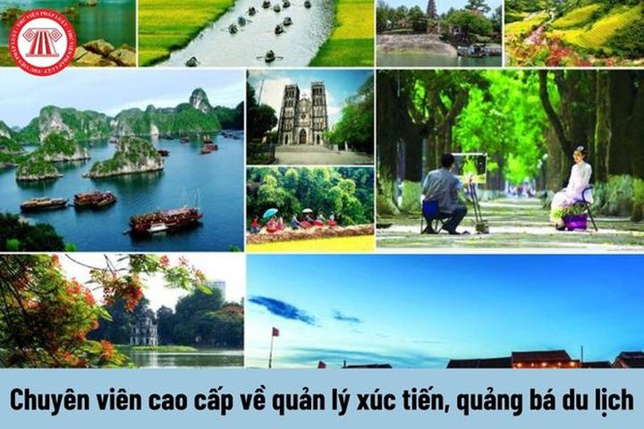 Kiếm Tiền Từ đam mê: Cầu thủ nghiệp dư và Hotspot Matrix