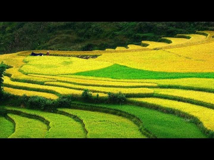 Hotspot Matrix: Giải pháp quản lý nội dung đa tài khoản, đa nền tảng tối ưu