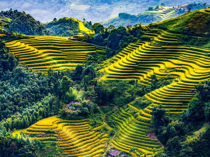Xu hướng Mỹ nhân Việt bị ghét nhất: Hotspot Matrix tiết lộ bí quyết video viral