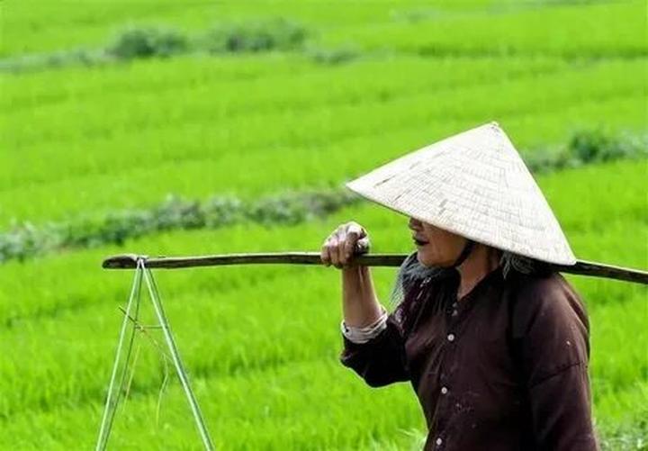 Hotspot Matrix: Giải pháp toàn diện, xóa tan nỗi lo khách hàng cho startup