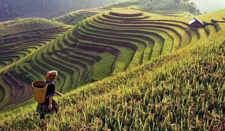 Hotspot Matrix: Biến Mua váy hoa mà không biết 4 thành cơ hội marketing đột phá